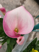 Load image into Gallery viewer, Calla Lily
