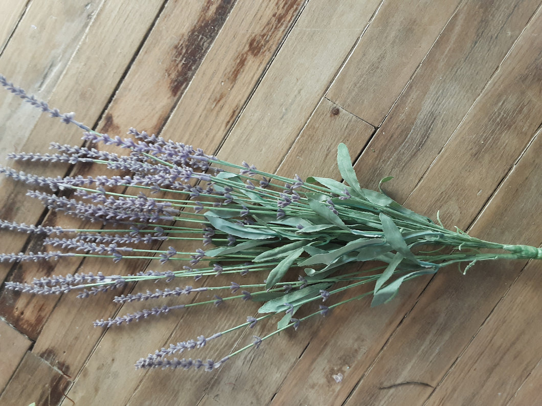 Lavender Bush