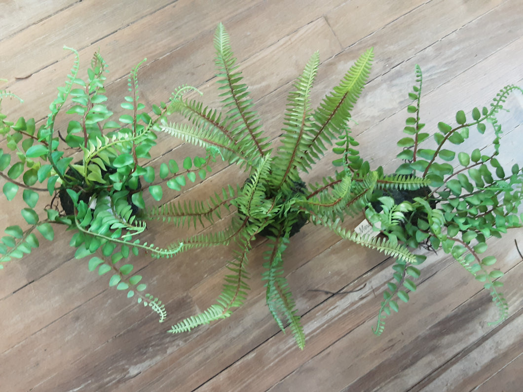 Faux Fern in Soil