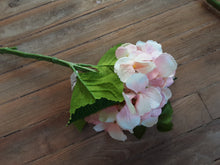 Load image into Gallery viewer, Hydrangea
