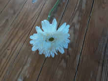 Load image into Gallery viewer, Gerbera Stem
