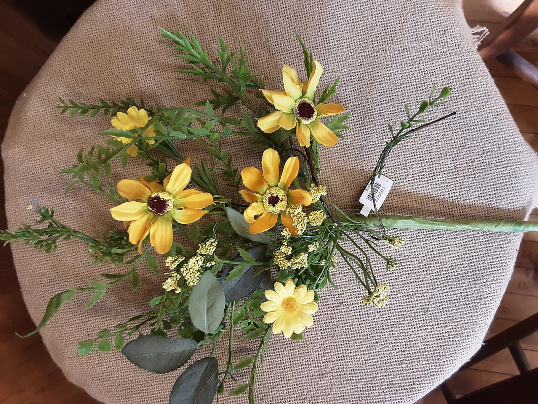 Yellow Coreopsis Collection