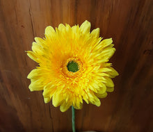 Load image into Gallery viewer, Gerbera Stem
